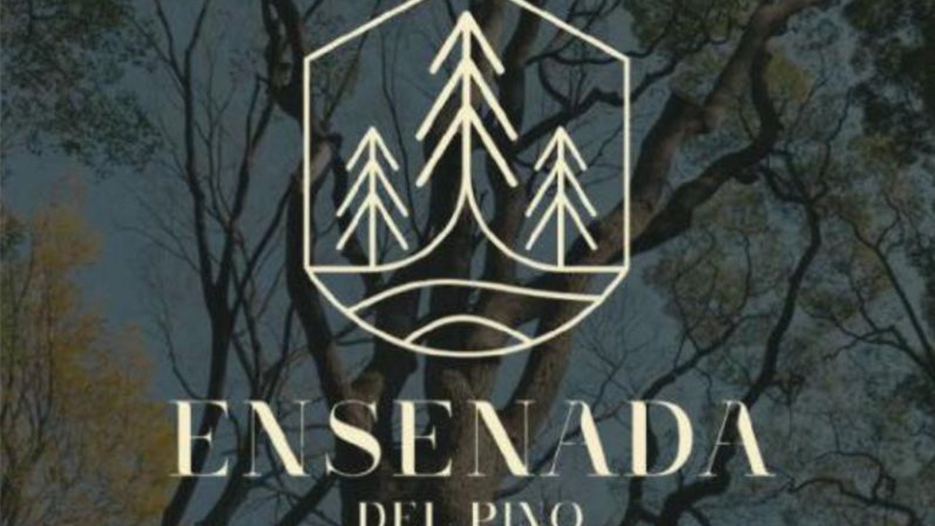 ENSENADA DEL PINO CASAS EN VENTA, LAGUNA DEL PINO - Miniatura 9