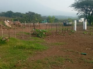 Terreno en venta, en Escuintla - 3