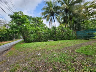 VENTA TERRENO EN LA ENTRADA A PUERTO BARRIOS - 4