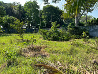 TERRENO EN VENTA EN ESCUINTLA - 2