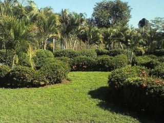 Terreno en venta en Cataratas Uxmel Puerto de San José - Image 3