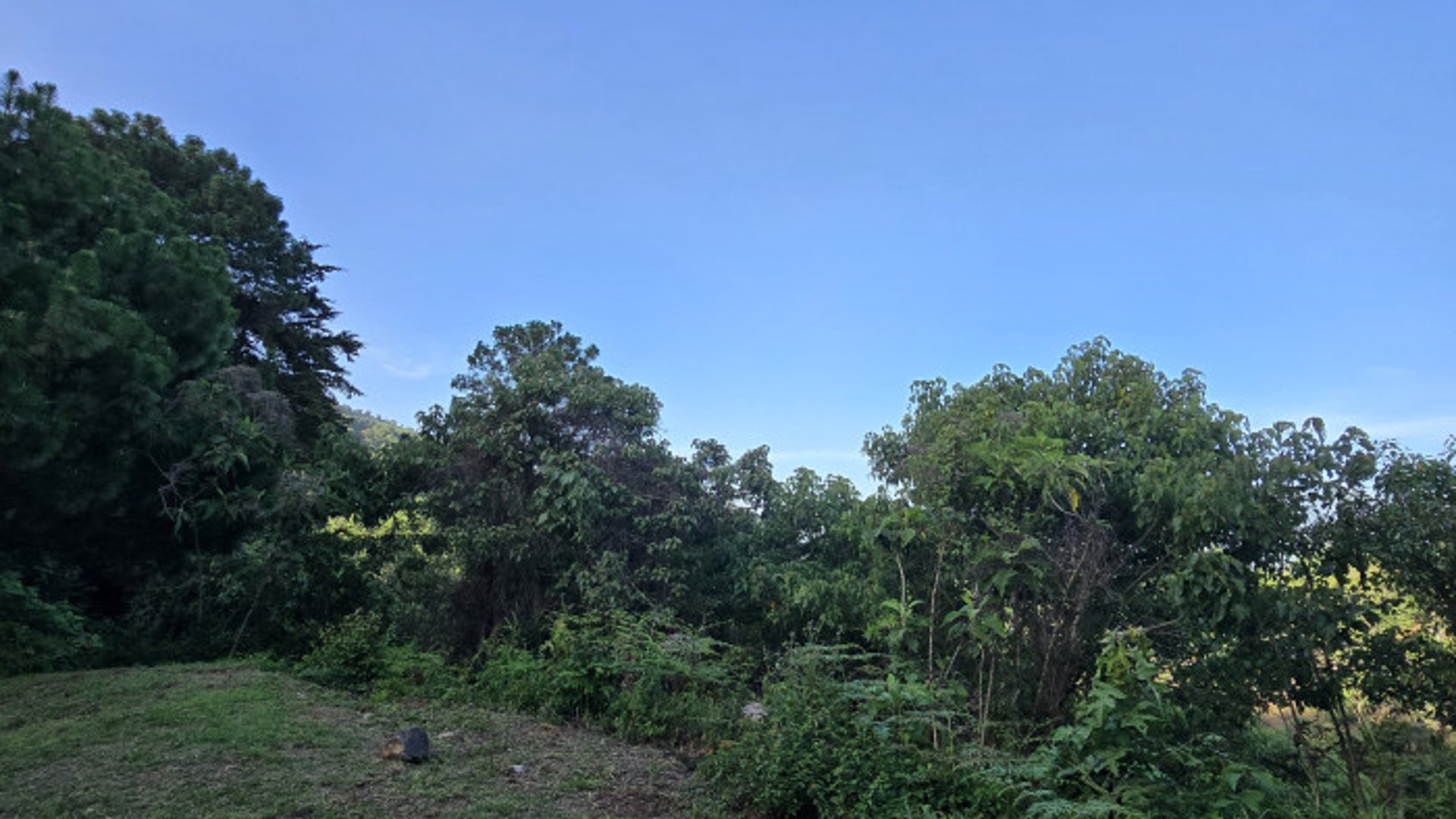 Exclusivo Terreno en venta zona 16 el Pulte Ecuestre