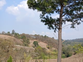 Vendo terrenos en Hacienda Lo de Reyes, San Pedro Ayampuc - 2
