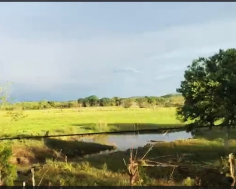 TERRENO EN VENTA EN PETEN