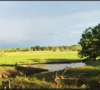 TERRENO EN VENTA EN PETEN