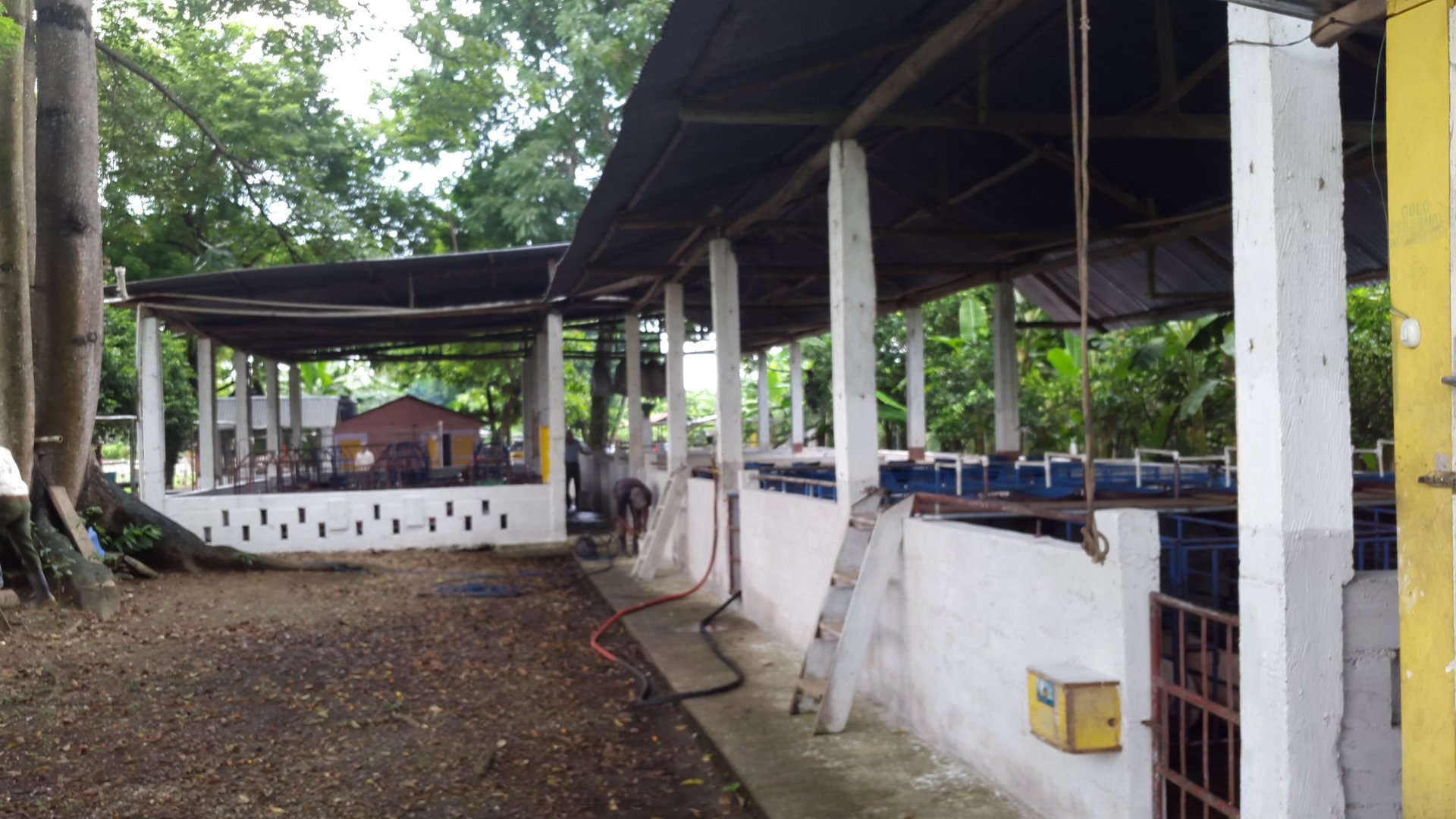 FINCA EN VENTA EN ALDEA EL SAUCE  - Miniatura 12