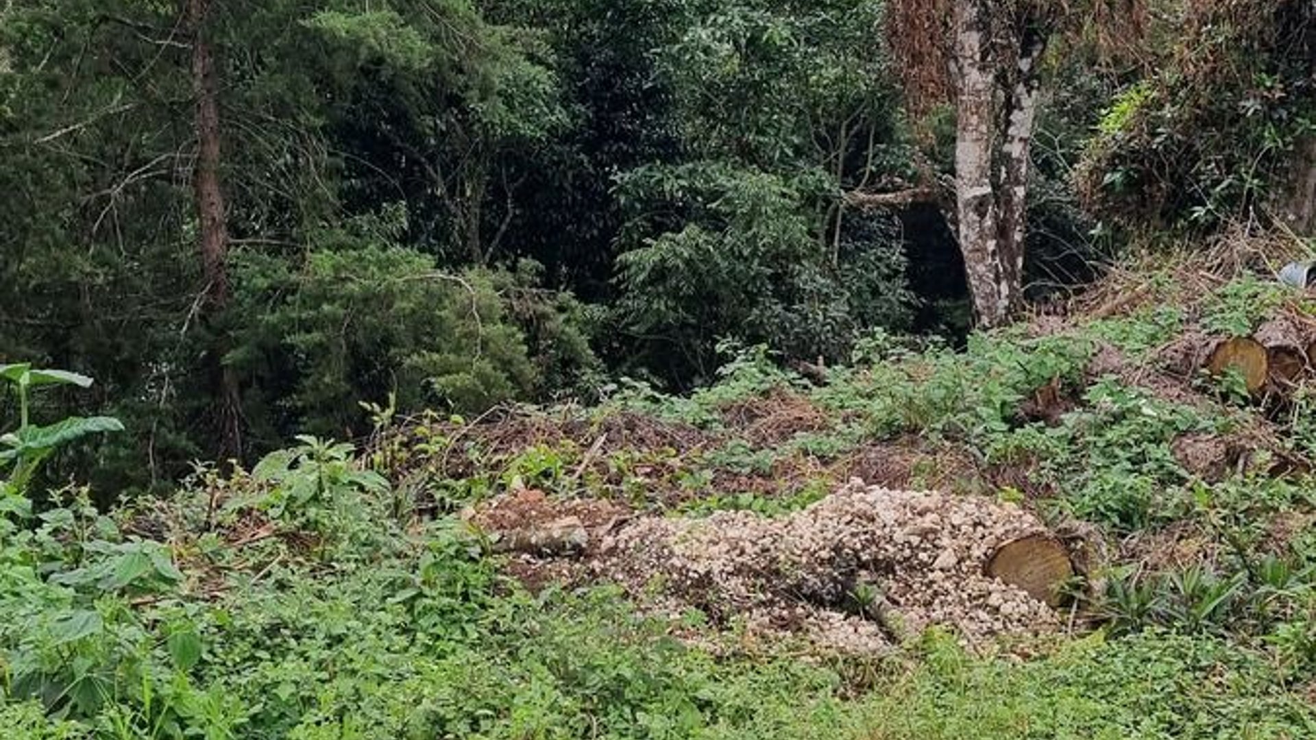 TERRENO EN VENTA EN LA MONTAÑA ZONA 16 - Miniatura 3