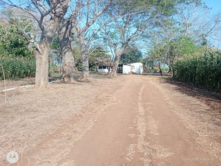 FINCA DE CACAO  EN VENTA – Retalhuleu - 4