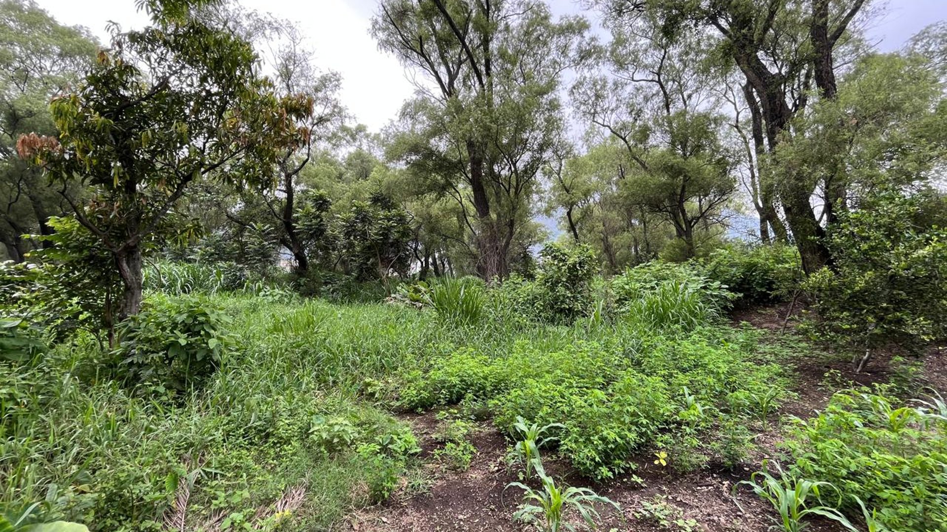 VENTA Terreno Los Sauces Km.37 Palín Escuintla - Miniatura 6