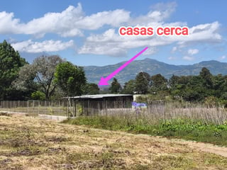 Land for sale in Los Planes de Sumango - Image 11