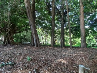 Terreno en venta, en San José Pinula - 4