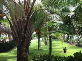 Beachfront 5-Bedroom House with Pool in Macamitas, Monterrico - Image 18