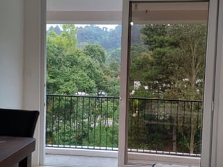 Apartamento en Renta Zona 16 La Montaña Tipo Efficiency - 2