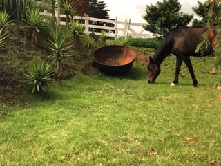 Granja en venta, Santa Catarina Pinula  - 4