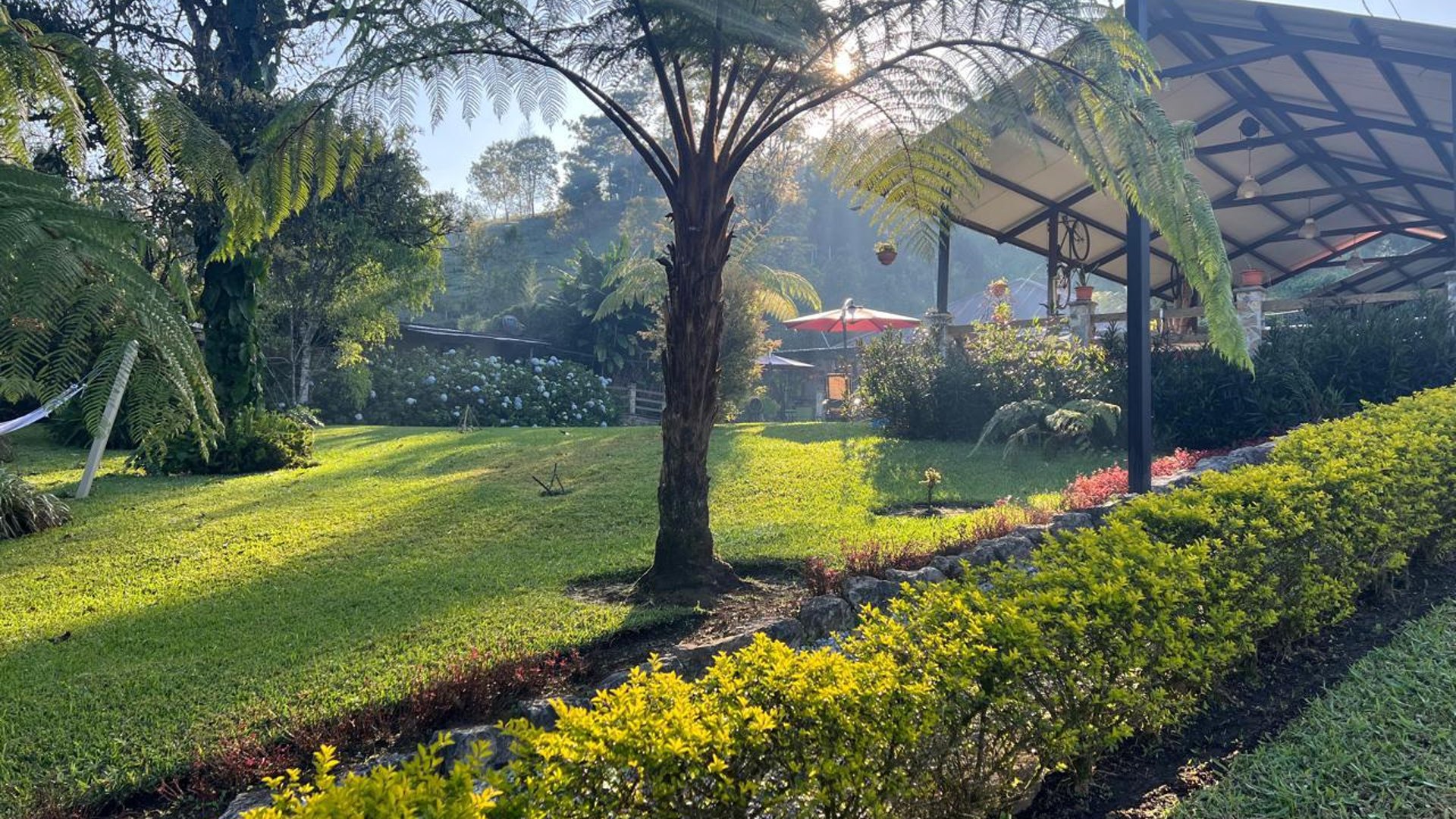 Finca comercial 26 manzanas en Venta en la Verapaces  - Miniatura 29