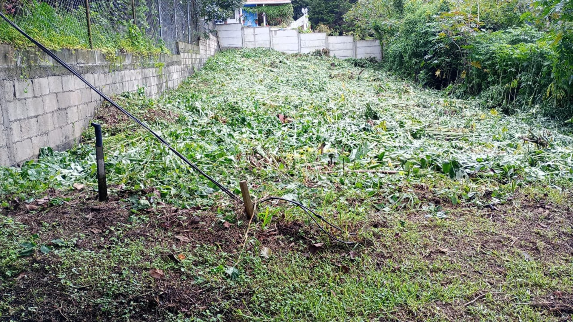 TERRENO EN VENTA – GUAJITOS, LOMA BLANCA | ZONA 21