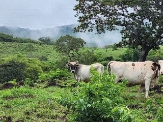 Km 18.2 al Occidente Pueblo Nuevo Viñas, área de Santa Rosa. - 4