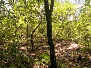 TERRENO EN VENTA GIRO COMERCIAL - 5