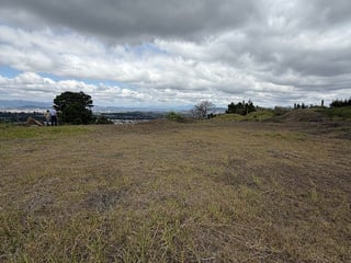Terreno en renta en Zona 16, camino al Pulte - 4