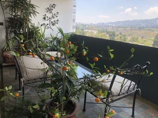 Apartamento amueblado en alquiler, Premiere Club zona 14 - 4