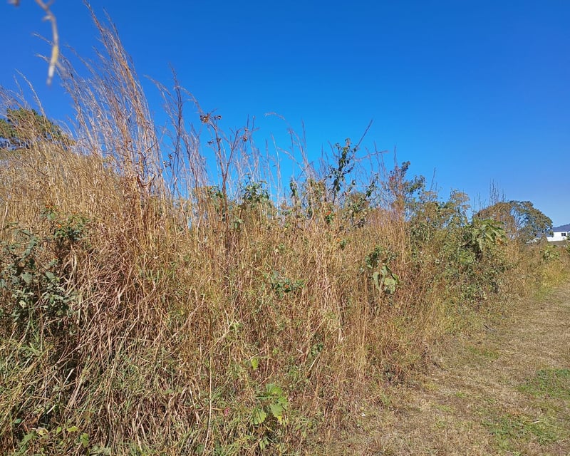 Flat Land for Sale in Alta Vista Golf Club, San José Pinula