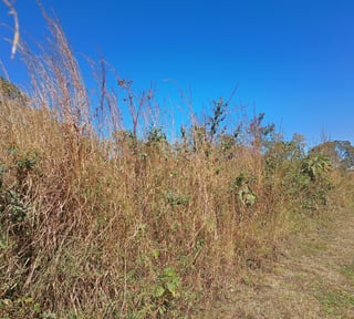 Flat Land for Sale in Alta Vista Golf Club, San José Pinula
