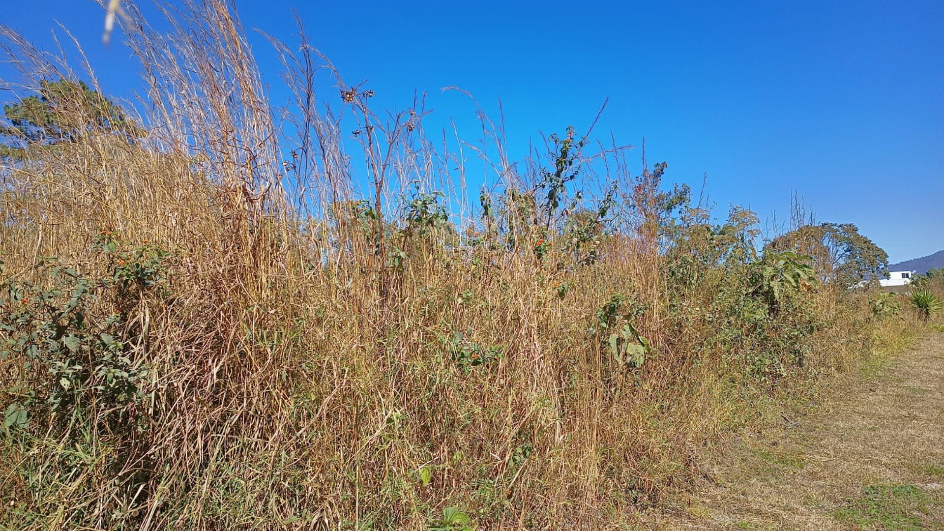 Flat Land for Sale in Alta Vista Golf Club, San José Pinula