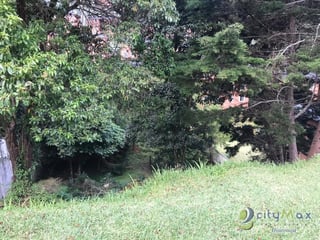 VENTA TERRENO EN BOSQUES DE LAS LUCES - 5
