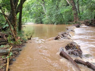 FINCA EN VENTA – SAN CRISTÓBAL ACASAGUASTLÁN, EL PROGRESO - 4
