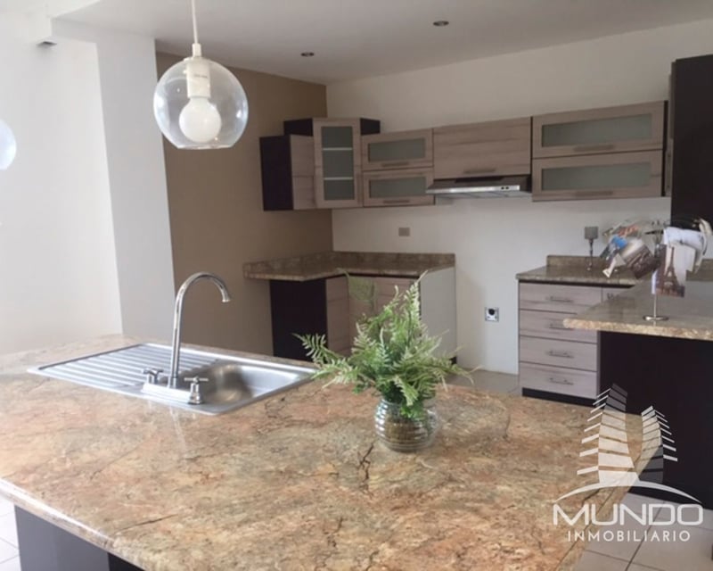 APARTAMENTO EN RENTA EN ZONA 16