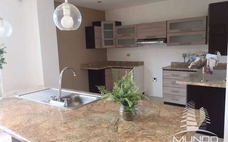 APARTAMENTO EN RENTA EN ZONA 16