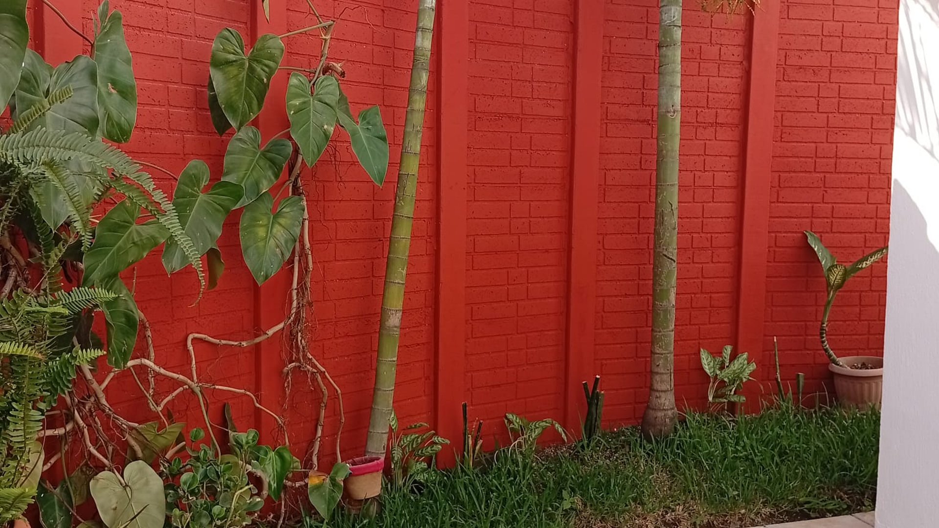 Casa en Renta en Alamedas de Villa Flores. - Miniatura 2