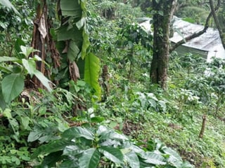 Terreno en venta para desarrollo comercial en Amatitlán - 3