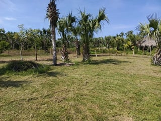 GANGA TERRENO EN VENTA – ALDEA EL CEBOLLITO, HAWÁI CHIQUIMULA - 4