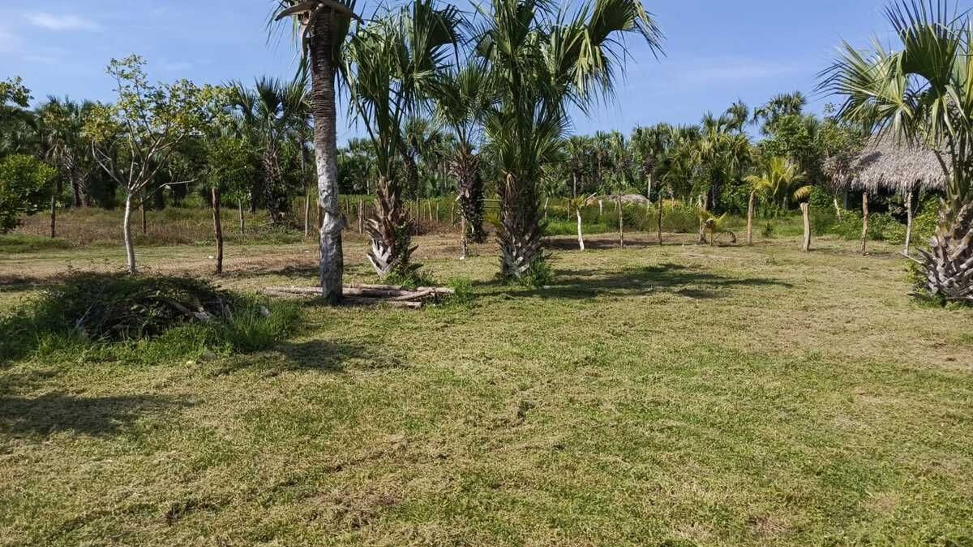 GANGA TERRENO EN VENTA – ALDEA EL CEBOLLITO, HAWÁI CHIQUIMULA - Miniatura 4