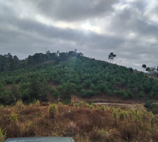 Amplio terreno de 109 manzanas al Atlántico zona 17