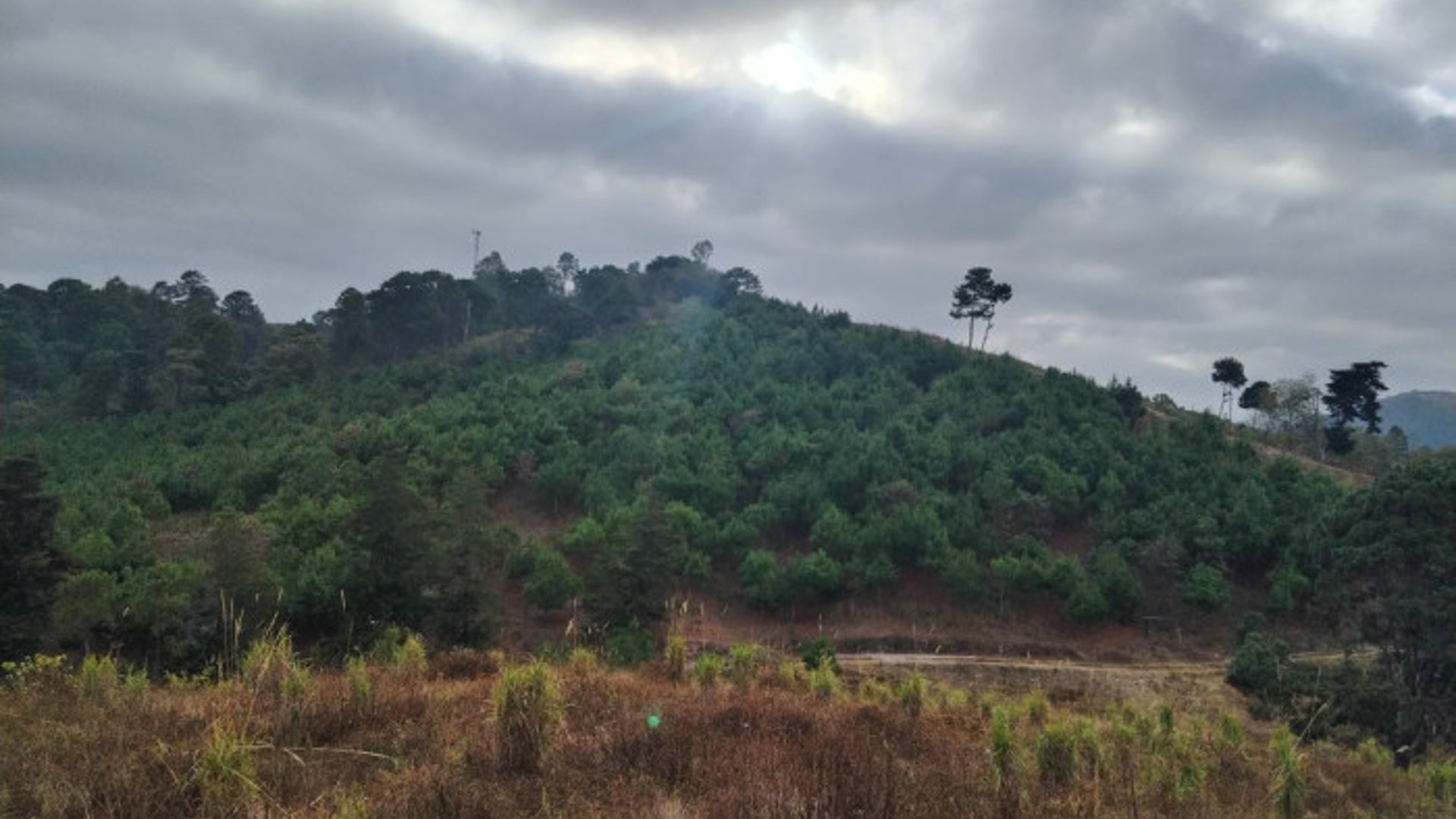 Amplio terreno de 109 manzanas al Atlántico zona 17