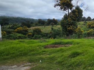 Terreno en Venta Granja Villas Alicia KM 32.9 Santiago - 4