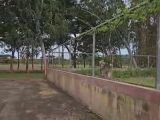 Terreno en Venta La Gomera, Escuintla, Guatemala OCRET - 4