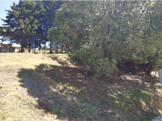 Terreno en San Germán Del Bosque, Fraijanes /D - 2