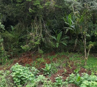 TERRENOS EN VENTA EN SANTA ROSALIA