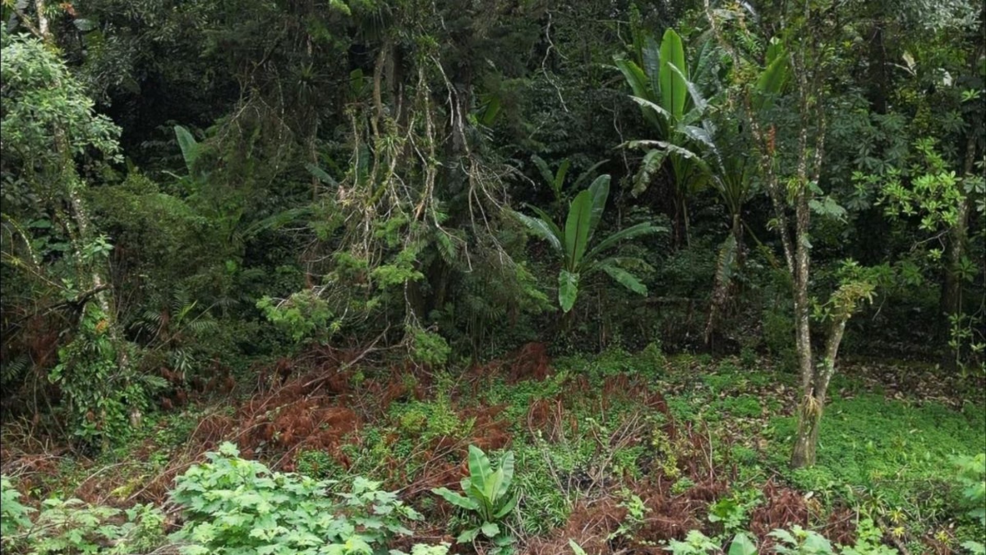 TERRENOS EN VENTA EN SANTA ROSALIA