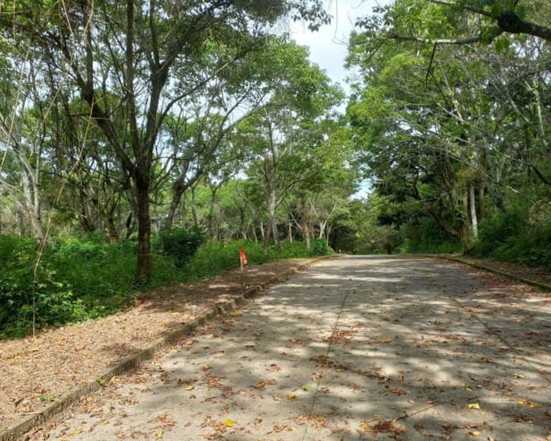 Vendo Terreno Casa y Campo