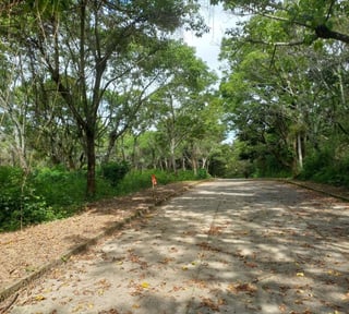 Vendo Terreno Casa y Campo