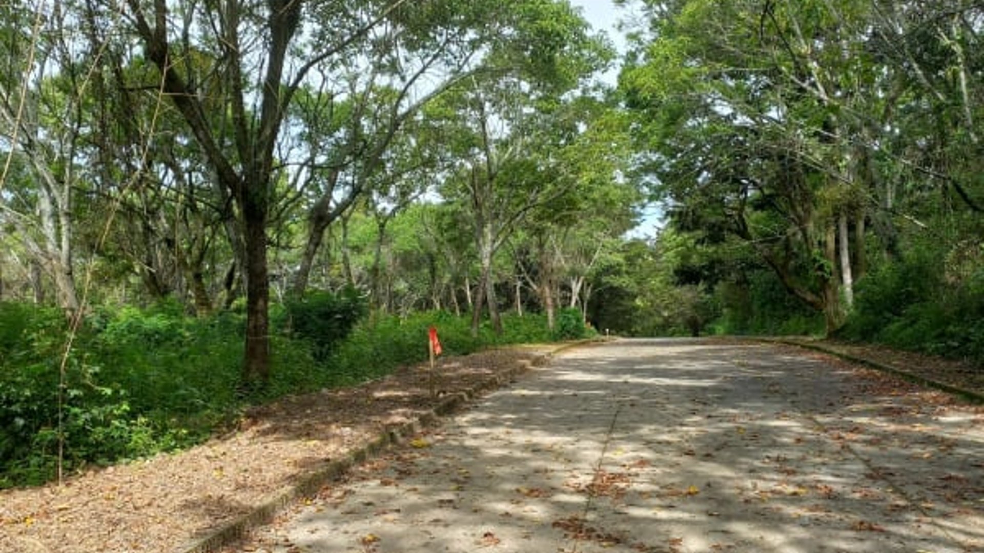Vendo Terreno Casa y Campo