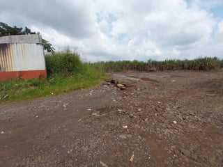 Terreno en Venta en Escuintla – Costa Sur de Guatemala - 2