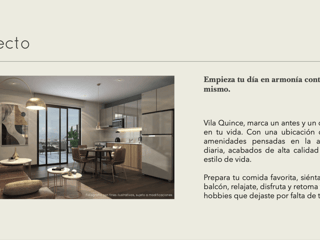 VILA QUINCE /  Apartamentos en Venta, zona 15 - 3