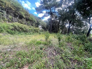 Venta de terreno en San Lucas Aldea El Choacorral - 5