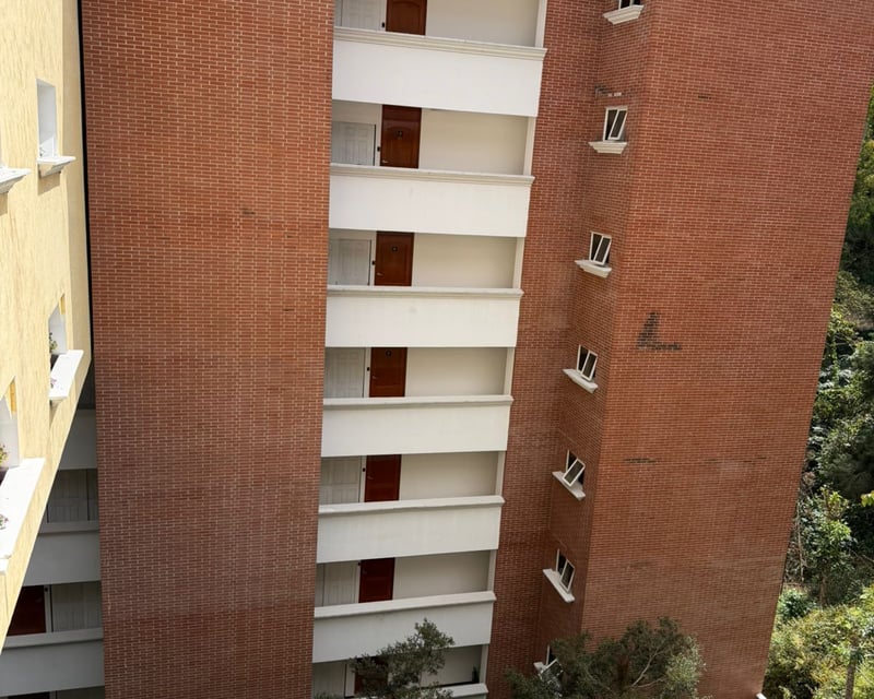 Apartamentos amueblados en renta zona 16 – La Montaña