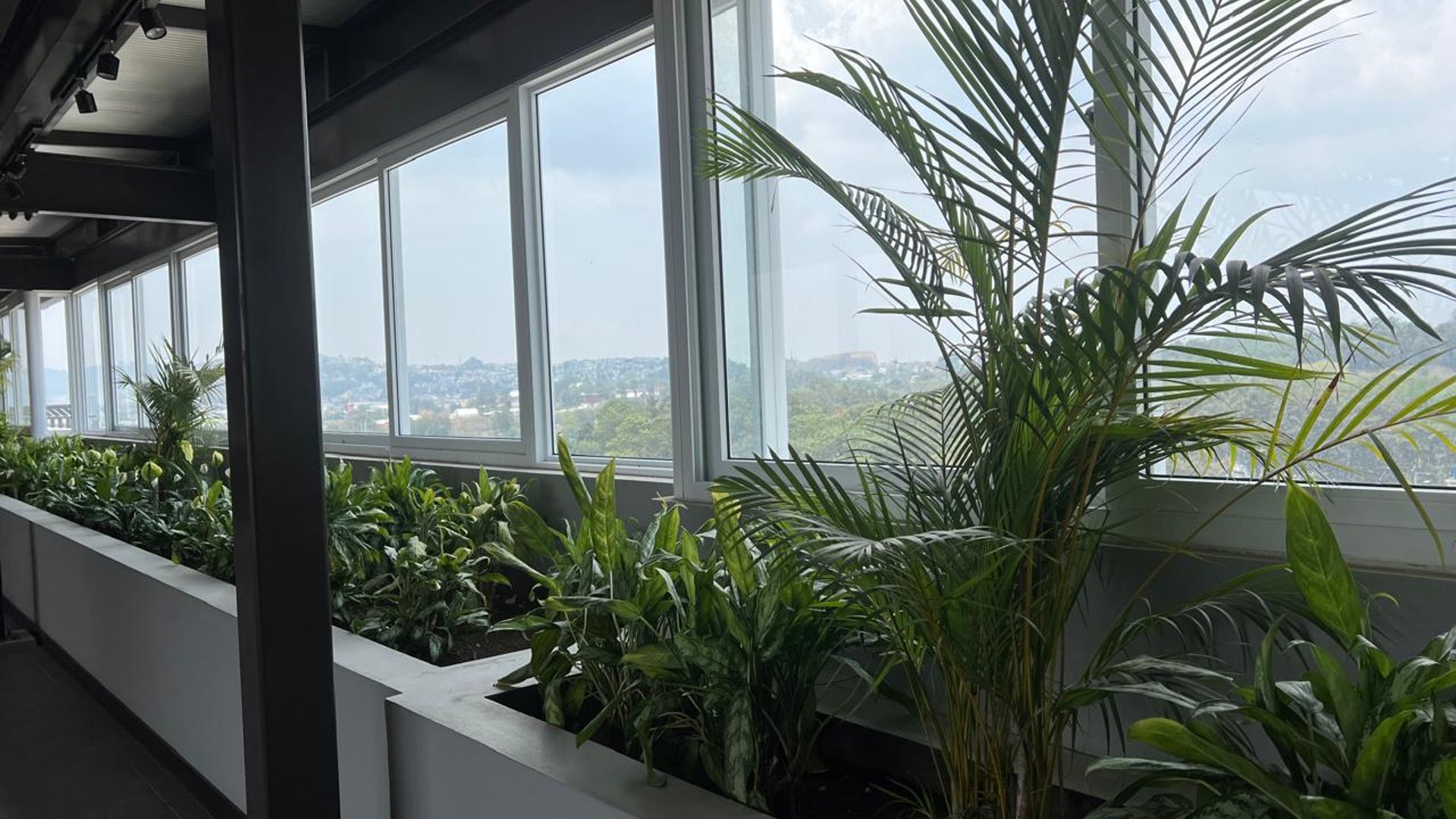 APARTAMENTO EN RENTA EN EDIFICIO UNIDO  ZONA 17 - Miniatura 11